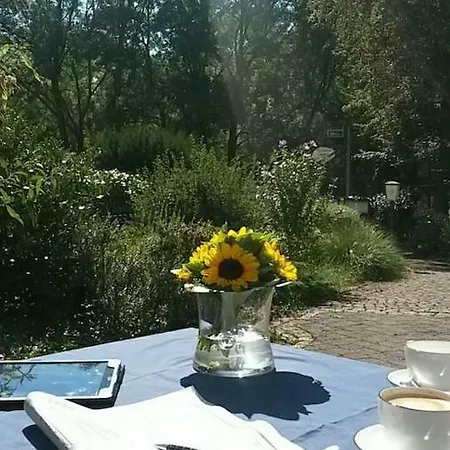 Zwischen Weinstrasse Und Pfaelzer Wald Apartment Bad Bergzabern