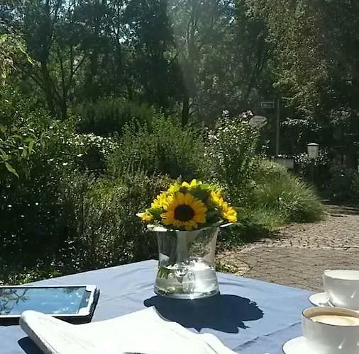 Zwischen Weinstrasse Und Pfaelzer Wald Apartamento Bad Bergzabern